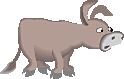 cyndi.jpg