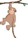 cyndi.jpg